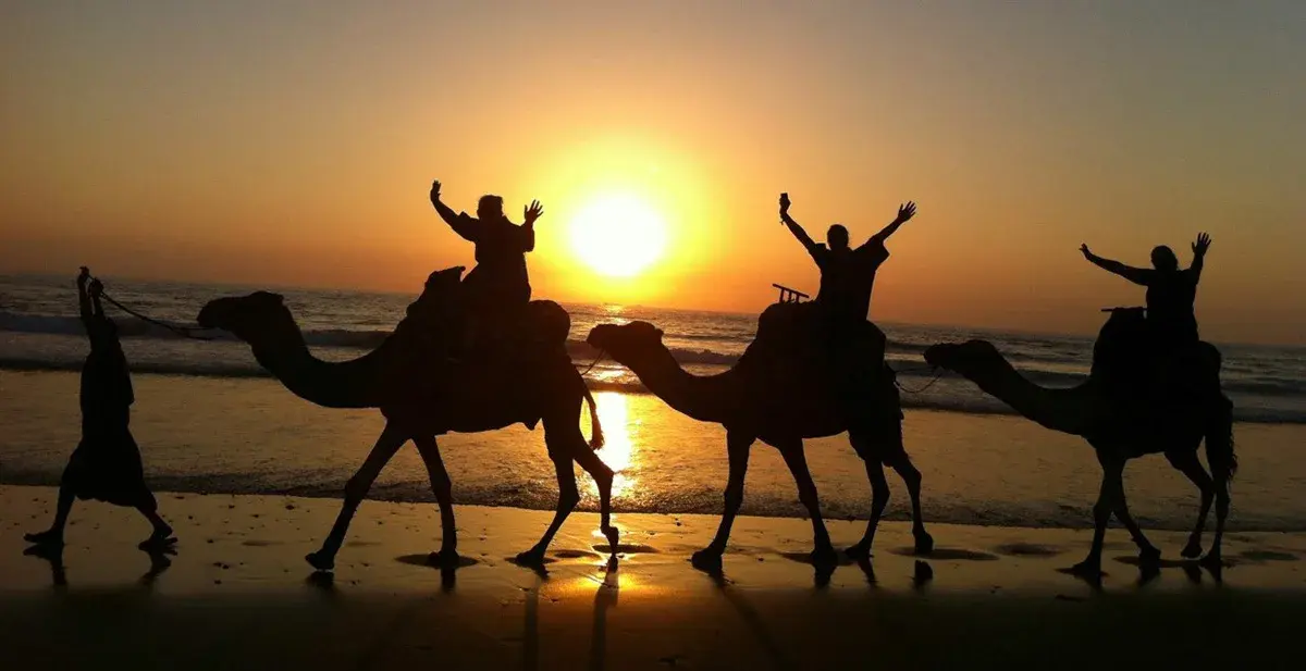 Camel riders silhouetted against the setting sun on the beach
